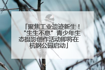 聚焦工业遗迹新生！“生生不息”青少年生态摄影创作活动即将在杭钢公园启动