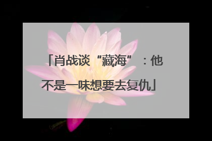 肖战谈“藏海”：他不是一味想要去复仇