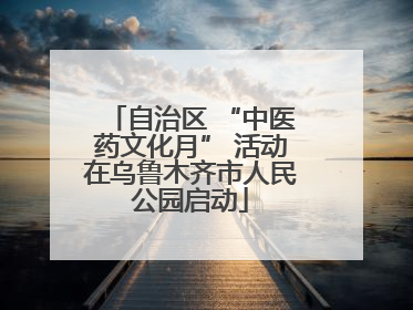 自治区 “中医药文化月” 活动在乌鲁木齐市人民公园启动