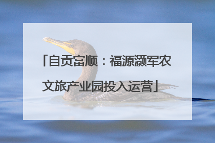自贡富顺：福源灏军农文旅产业园投入运营