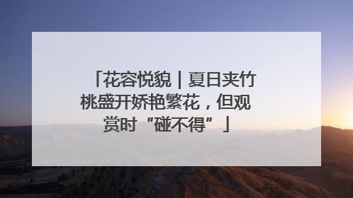 花容悦貌｜夏日夹竹桃盛开娇艳繁花，但观赏时“碰不得”