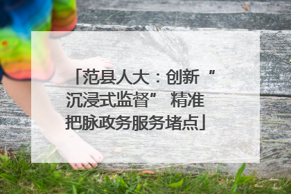 范县人大：创新“沉浸式监督” 精准把脉政务服务堵点