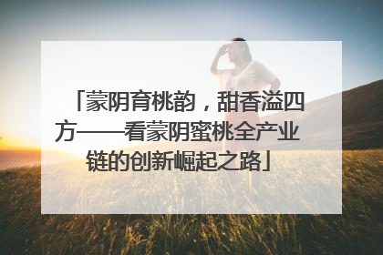 蒙阴育桃韵，甜香溢四方——看蒙阴蜜桃全产业链的创新崛起之路