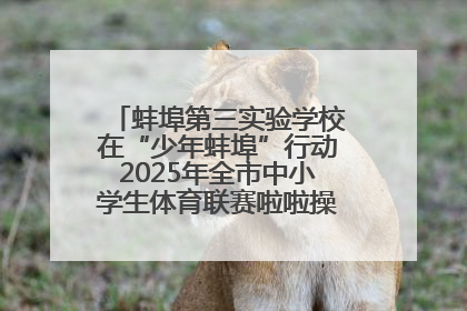 蚌埠第三实验学校在“少年蚌埠”行动2025年全市中小学生体育联赛啦啦操比赛中获佳绩