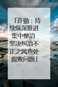 许勤：持续纵深推进集中整治 坚决纠治不正之风查处腐败问题