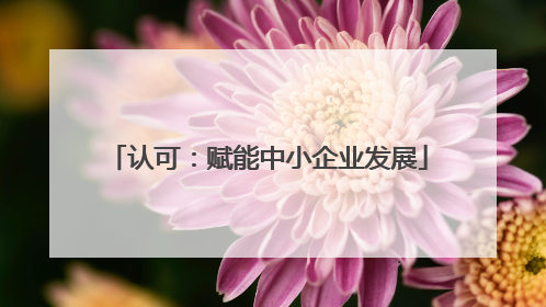 认可：赋能中小企业发展