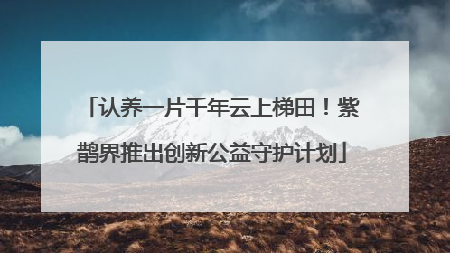 认养一片千年云上梯田！紫鹊界推出创新公益守护计划
