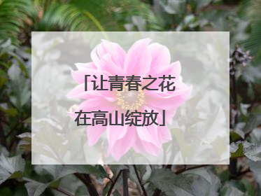 让青春之花在高山绽放