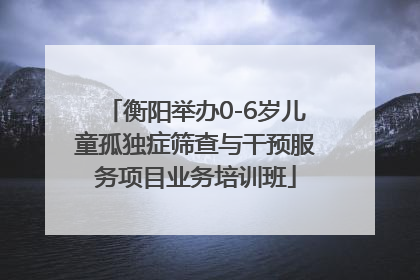 衡阳举办0-6岁儿童孤独症筛查与干预服务项目业务培训班