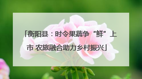 衡阳县：时令果蔬争“鲜”上市 农旅融合助力乡村振兴