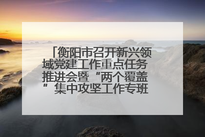 衡阳市召开新兴领域党建工作重点任务推进会暨“两个覆盖”集中攻坚工作专班 第一次会议