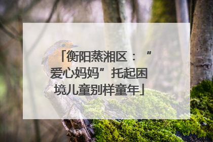 衡阳蒸湘区：“爱心妈妈”托起困境儿童别样童年