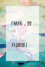 褚伟，晋升副部