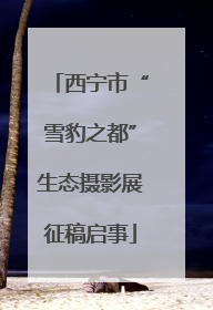 西宁市“雪豹之都”生态摄影展征稿启事