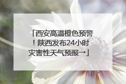 西安高温橙色预警！陕西发布24小时灾害性天气预报→