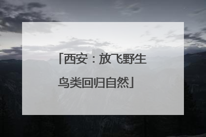 西安：放飞野生鸟类回归自然