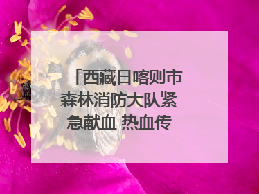西藏日喀则市森林消防大队紧急献血 热血传递生命希望