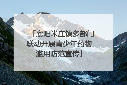 襄阳米庄镇多部门联动开展青少年药物滥用防范宣传