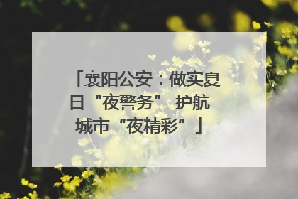 襄阳公安：做实夏日“夜警务” 护航城市“夜精彩”
