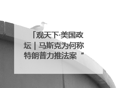 观天下·美国政坛｜马斯克为何称特朗普力推法案“令人作呕”