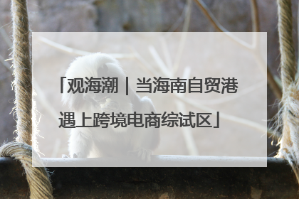 观海潮｜当海南自贸港遇上跨境电商综试区