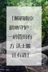解码南京耕地守护：一码管田有方 沃土搬迁有道