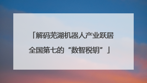 解码芜湖机器人产业跃居全国第七的“数智税钥”