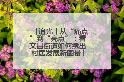 追光丨从“痛点”到“亮点”：看文昌街道如何绣出村居发展新图景