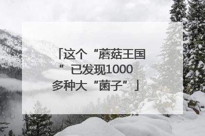 这个“蘑菇王国”已发现1000多种大“菌子”