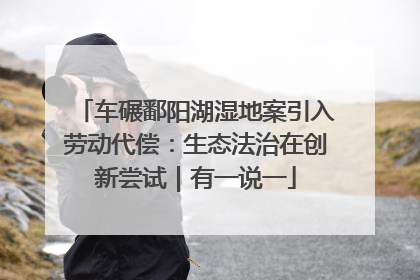 车碾鄱阳湖湿地案引入劳动代偿：生态法治在创新尝试｜有一说一