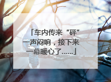 车内传来“砰”一声闷响，接下来一幕暖心了……
