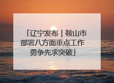 辽宁发布｜鞍山市部署八方面重点工作勇争先求突破