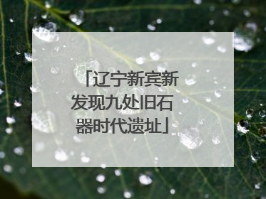辽宁新宾新发现九处旧石器时代遗址