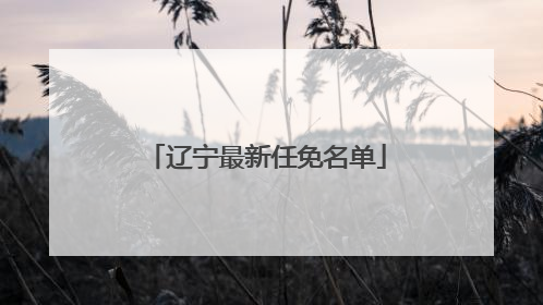 辽宁最新任免名单