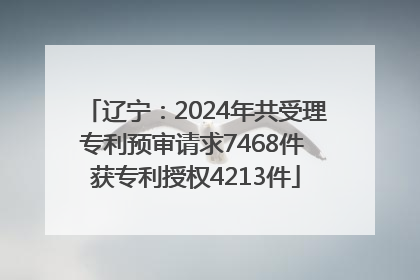 辽宁：2024年共受理专利预审请求7468件 获专利授权4213件