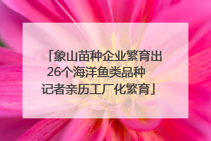 象山苗种企业繁育出26个海洋鱼类品种 记者亲历工厂化繁育