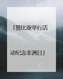 赞比亚举行活动纪念非洲日