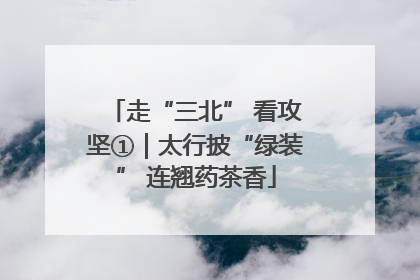 走“三北” 看攻坚①｜太行披“绿装” 连翘药茶香