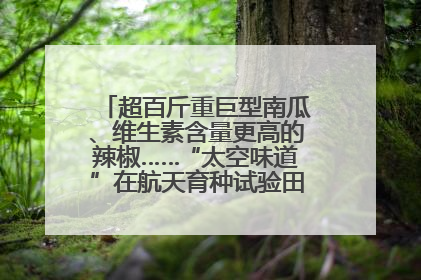 超百斤重巨型南瓜、维生素含量更高的辣椒……“太空味道”在航天育种试验田里拔节生长
