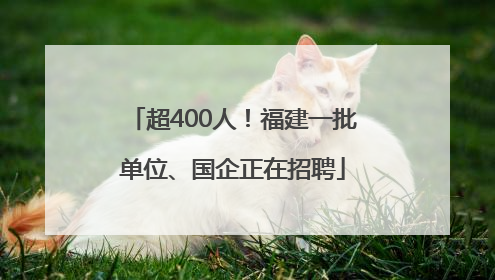 超400人！福建一批单位、国企正在招聘
