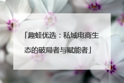 趣蛙优选：私域电商生态的破局者与赋能者