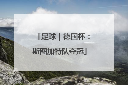 足球｜德国杯：斯图加特队夺冠