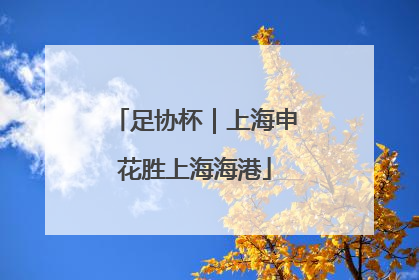 足协杯｜上海申花胜上海海港