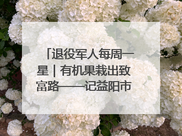 退役军人每周一星｜有机果栽出致富路——记益阳市银城南湖蔬果农民专业合作社总经理晏桂明
