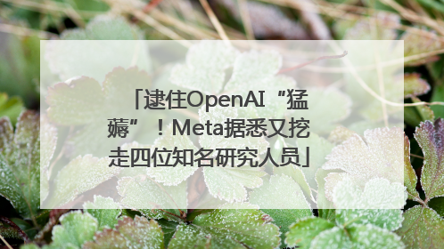 逮住OpenAI“猛薅”！Meta据悉又挖走四位知名研究人员