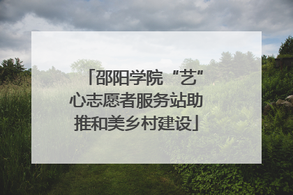 邵阳学院“艺”心志愿者服务站助推和美乡村建设