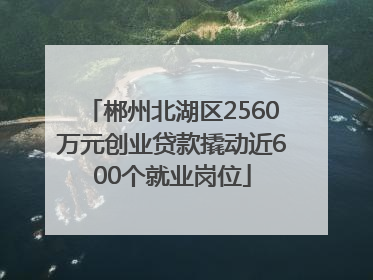 郴州北湖区2560万元创业贷款撬动近600个就业岗位