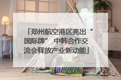 郑州航空港区亮出“国际牌” 中韩合作交流会释放产业新动能