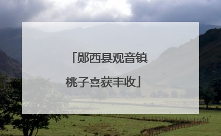 郧西县观音镇桃子喜获丰收