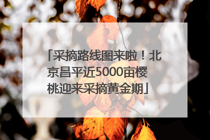 采摘路线图来啦！北京昌平近5000亩樱桃迎来采摘黄金期